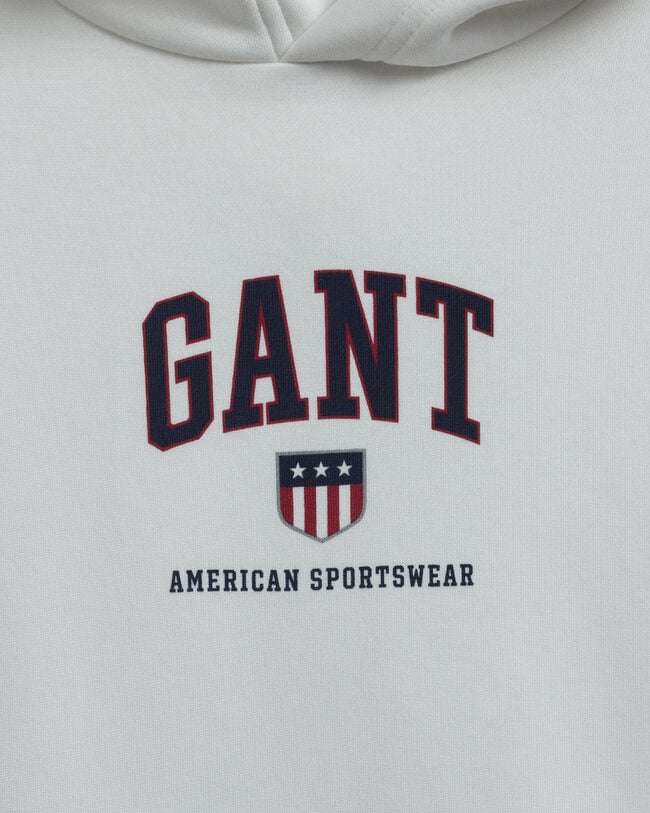 Teens Retro Shield Hoodie