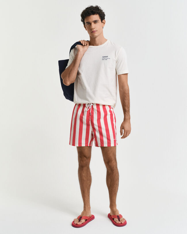 Badeshorts mit Blockstreifen