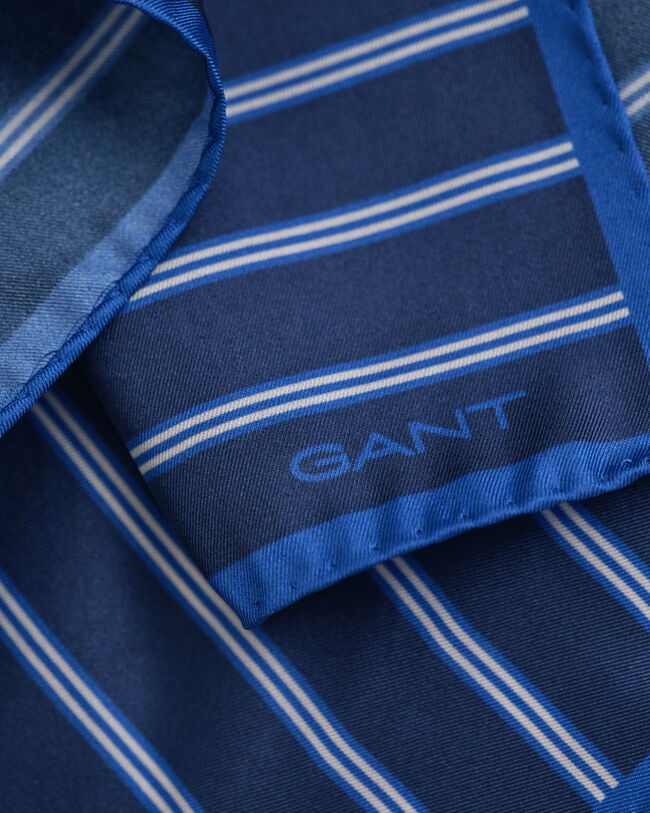 Gestreiftes Einstecktuch