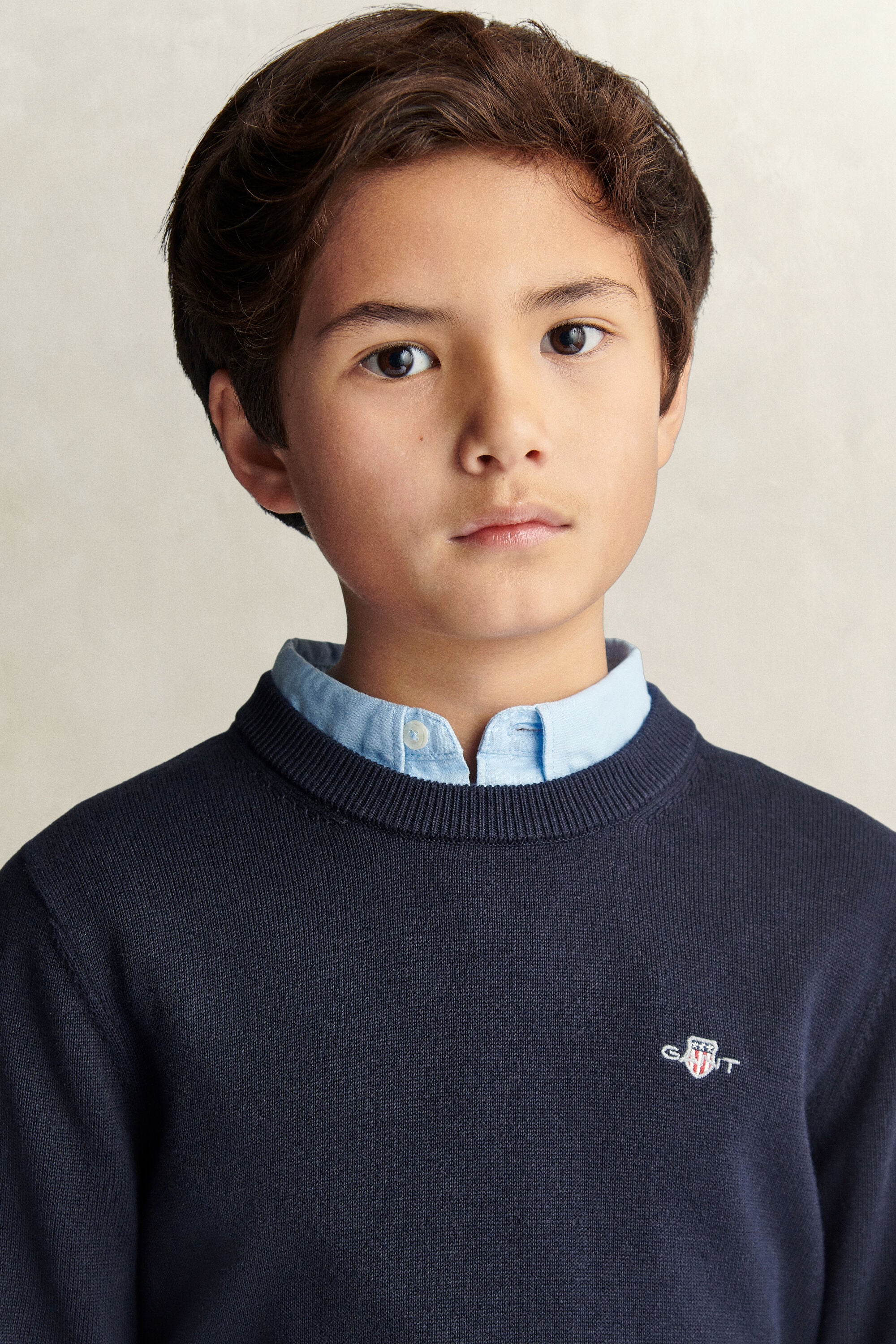 Teen Boys Shield Pullover