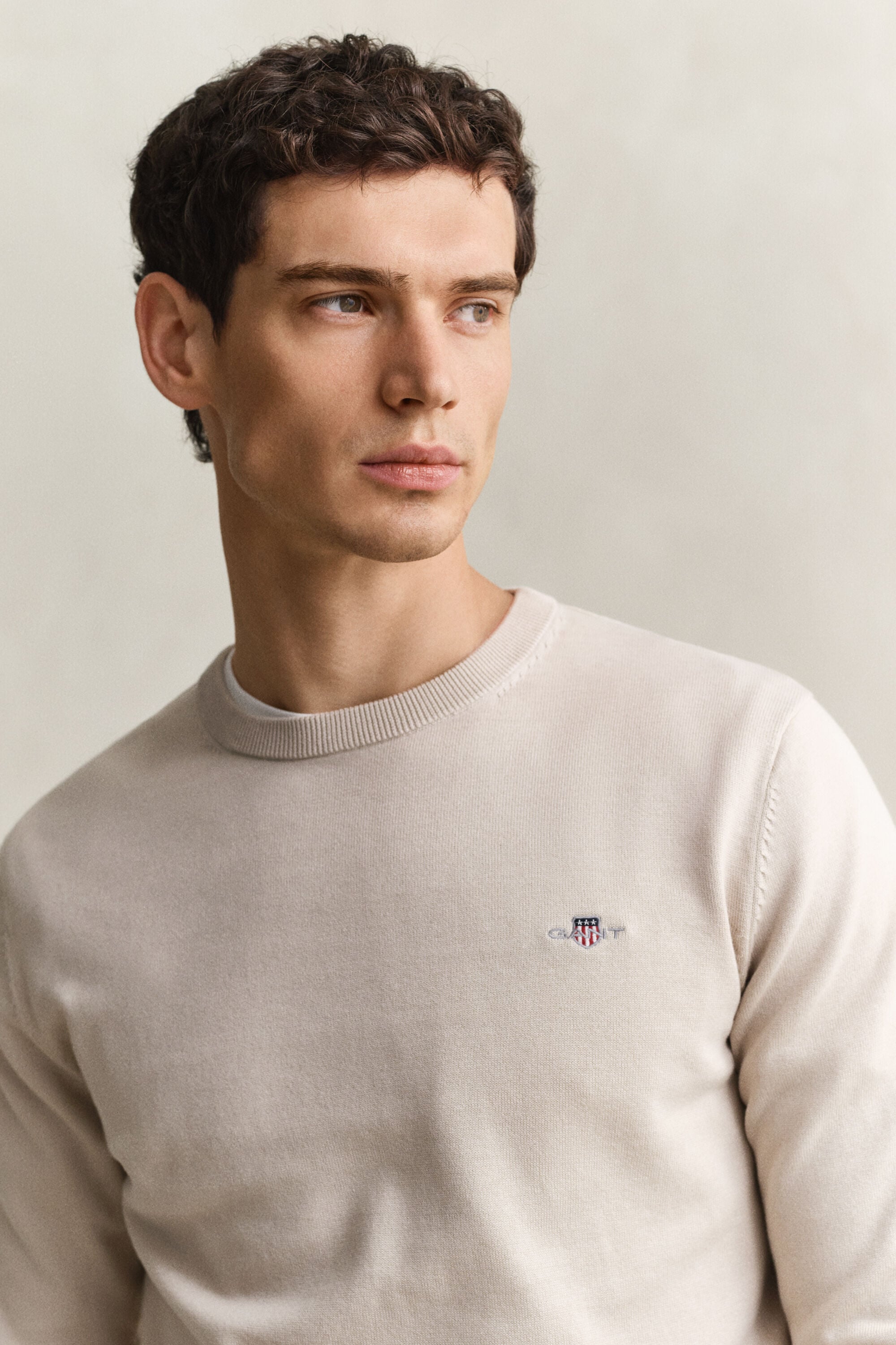 Maglia girocollo in cotone classico