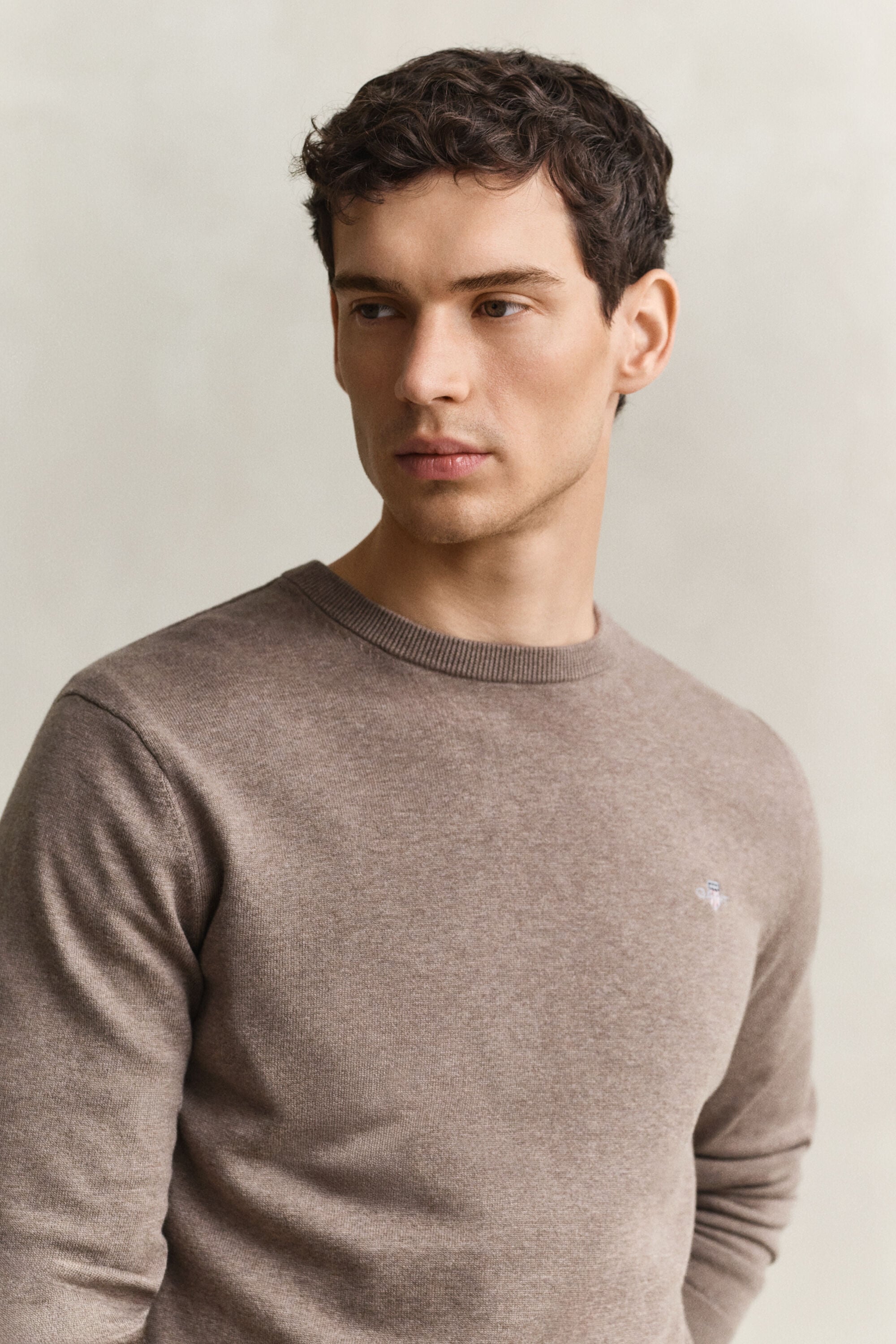 Maglia girocollo in cotone classico