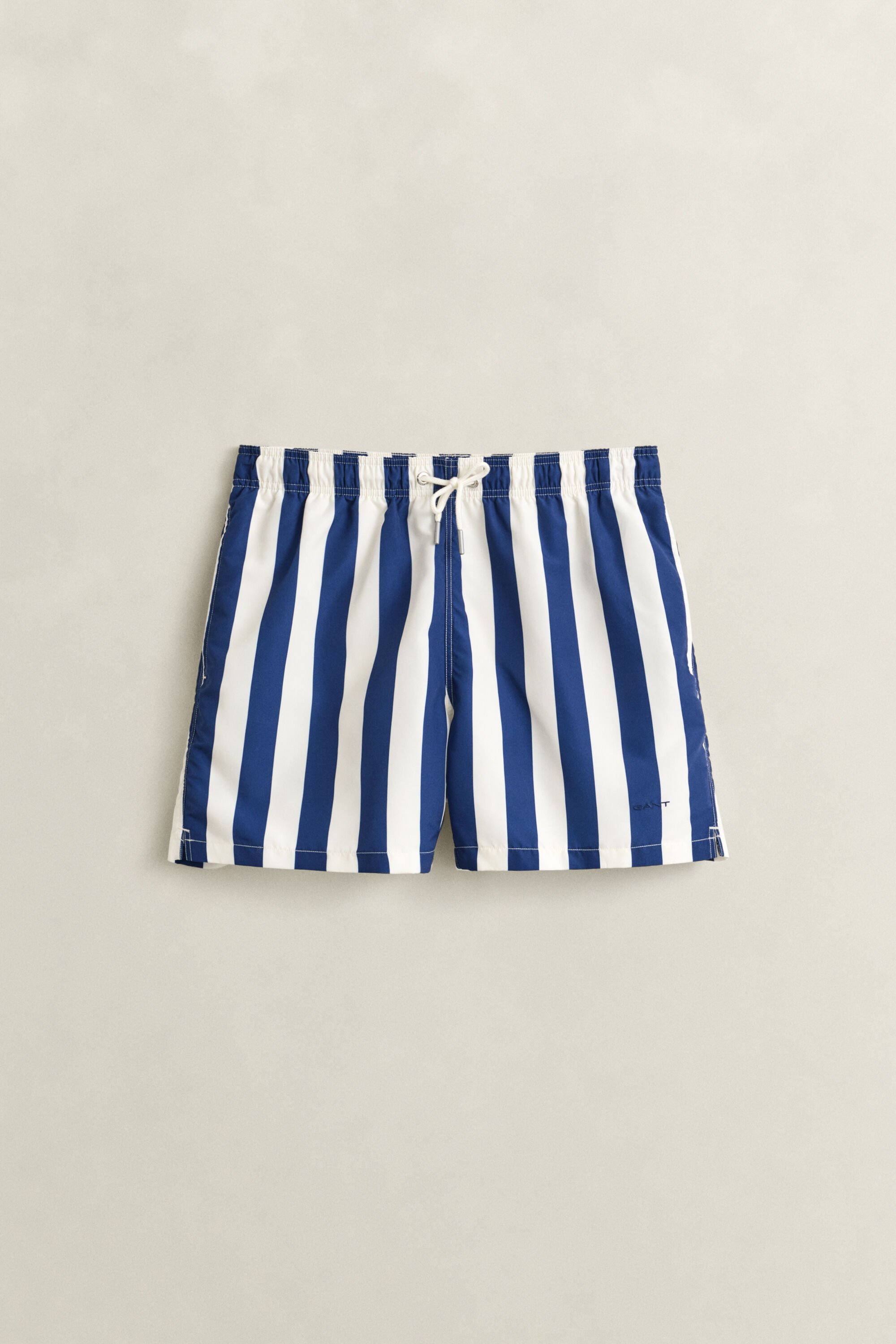 Block Striped Swim Shorts