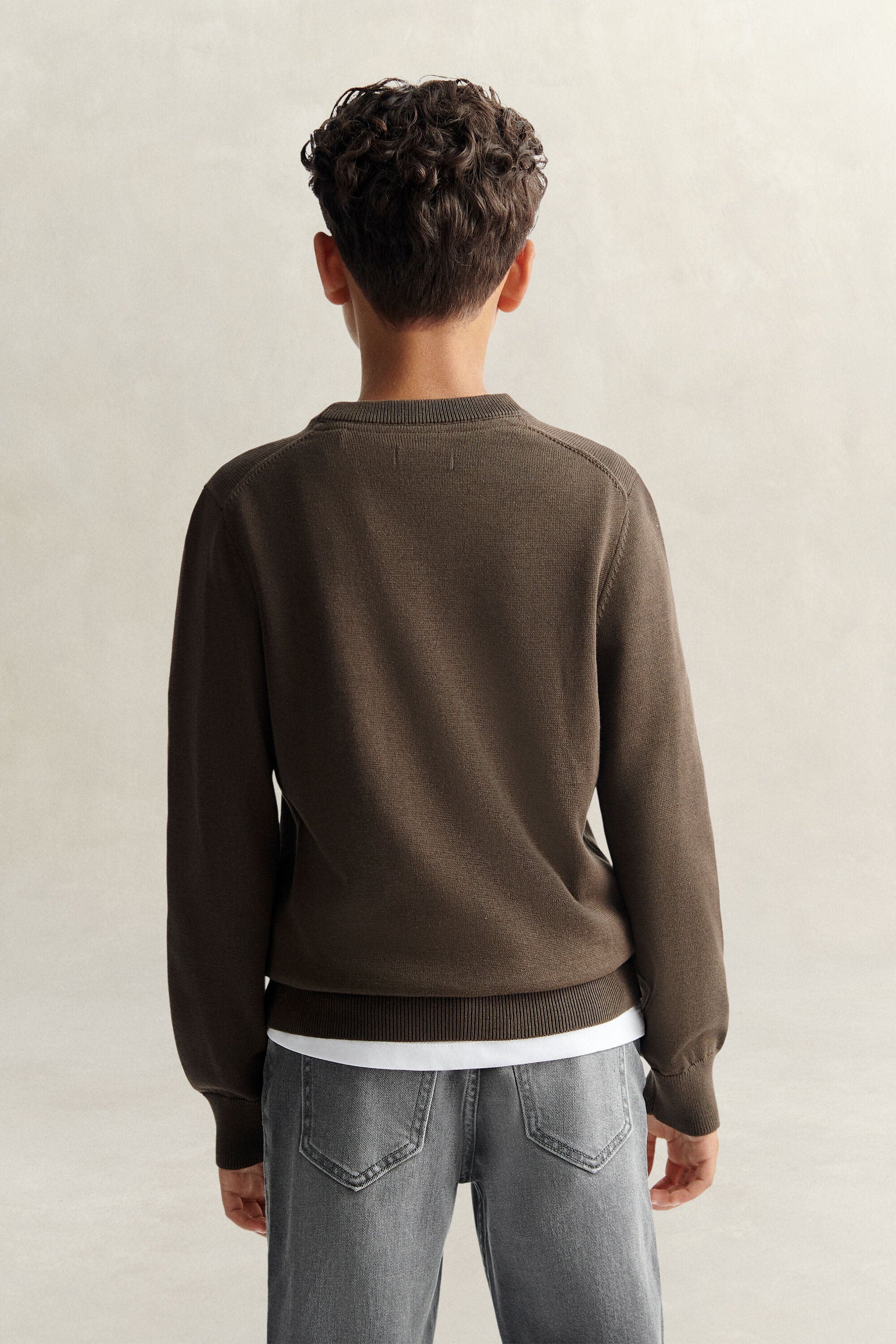 Teen Boys Shield Pullover