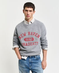 Graphic Rundhals-Sweatshirt