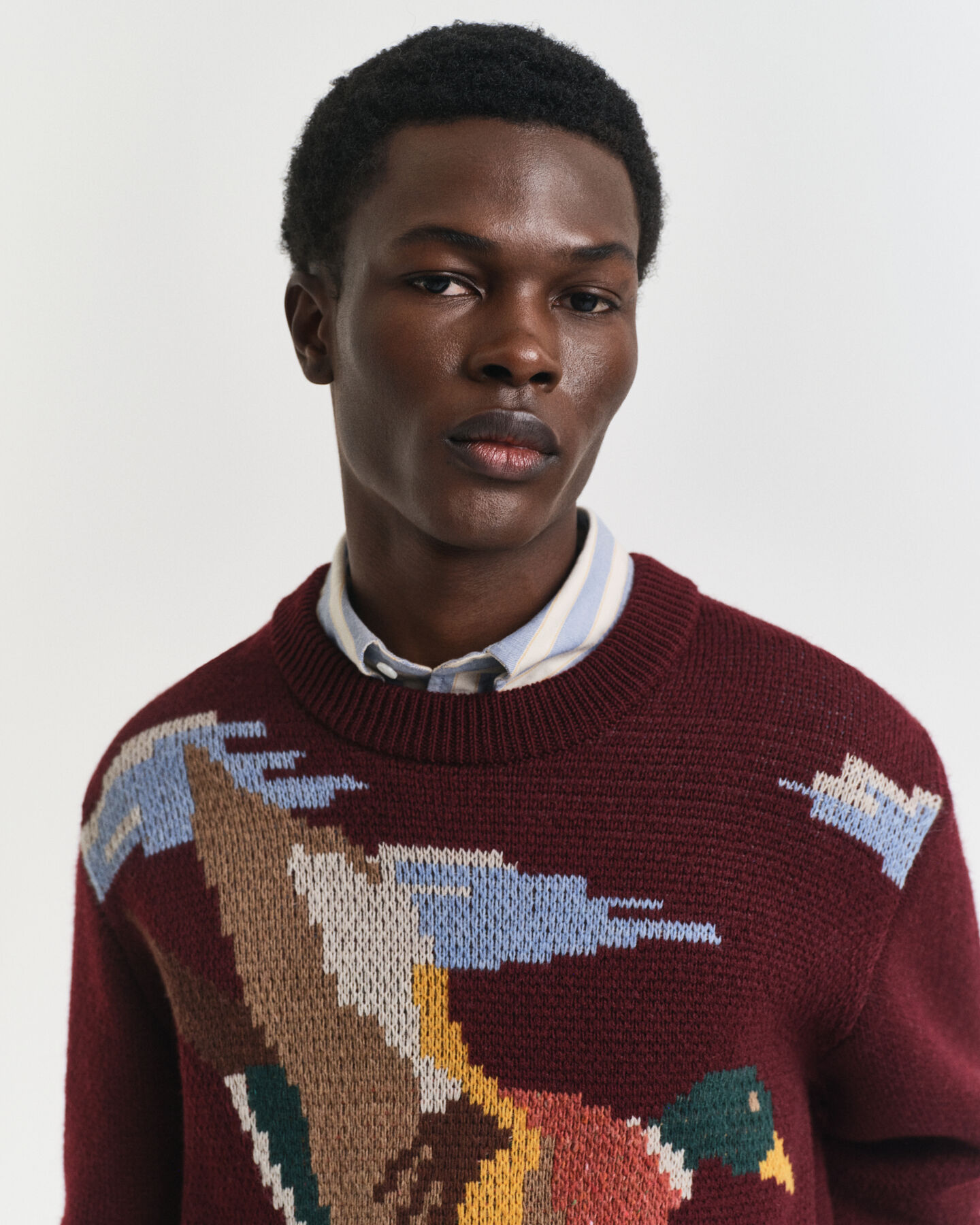 Rundhalspullover mit Vogelgrafik