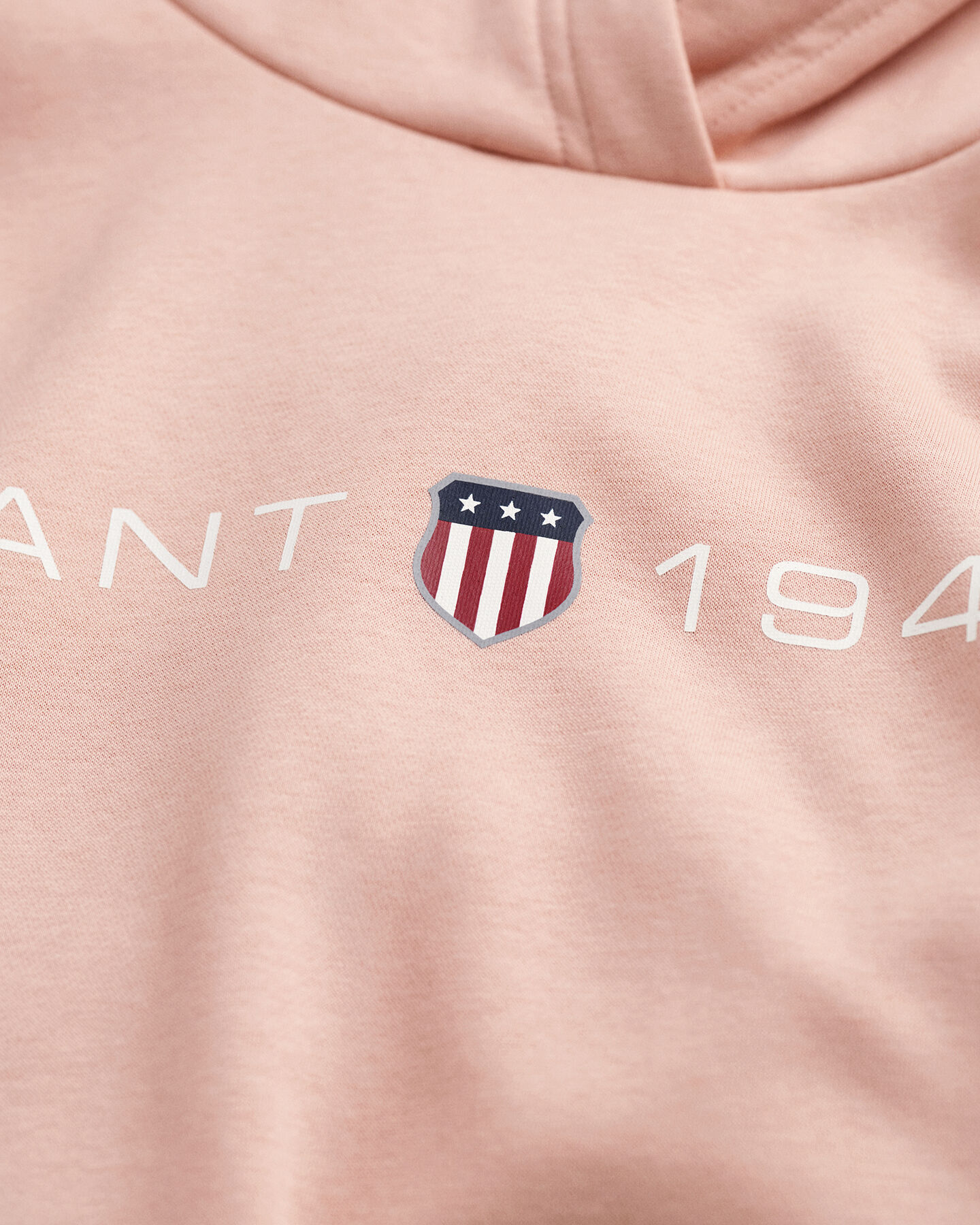 Archive Shield Hoodie mit Print