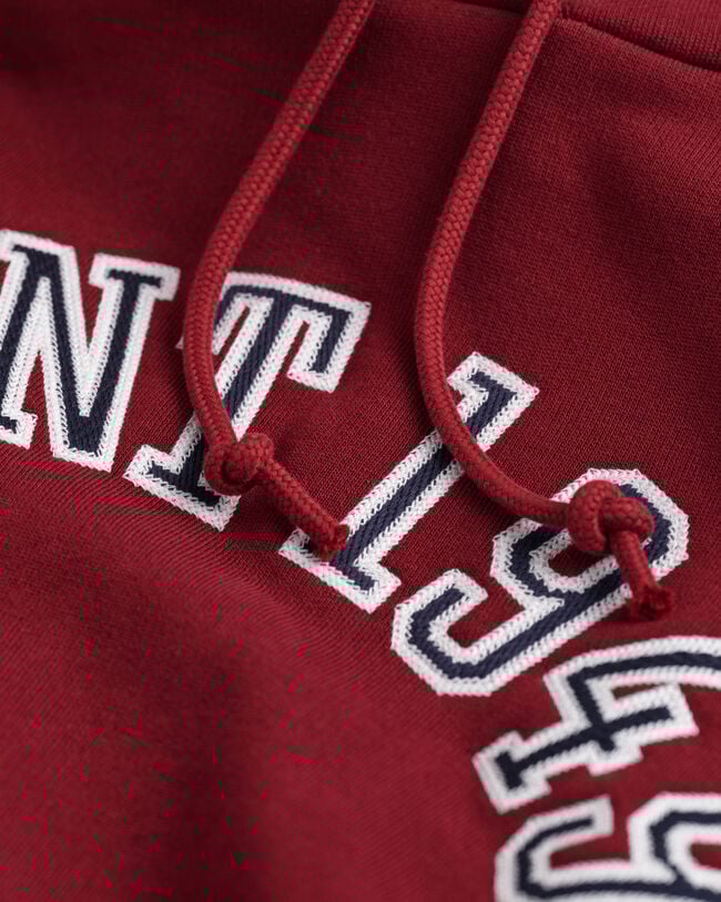 GANT 1949 Arch Graphic Hoodie