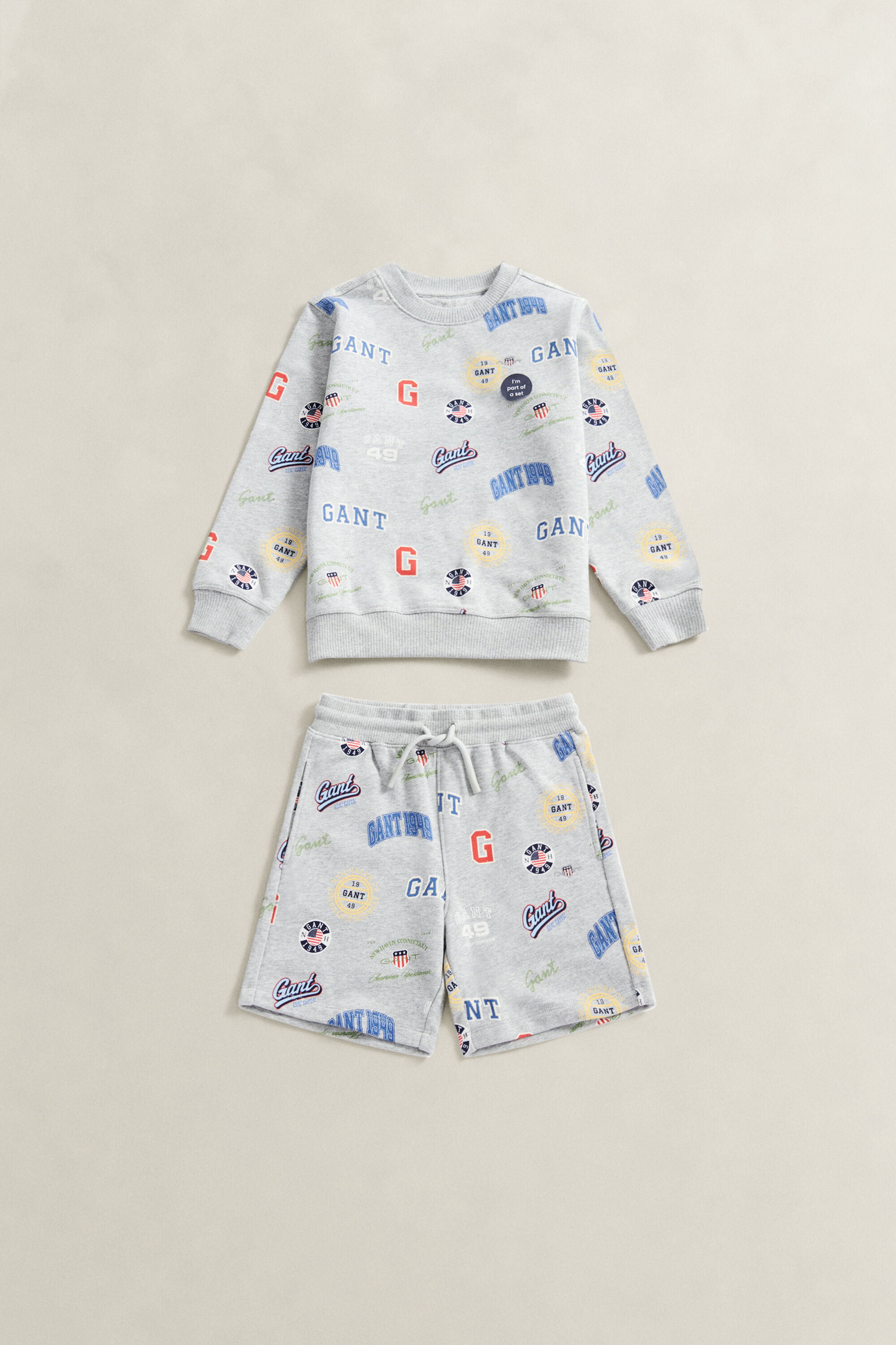 Boys Printed Sweatshirt & Sweat Shorts Set