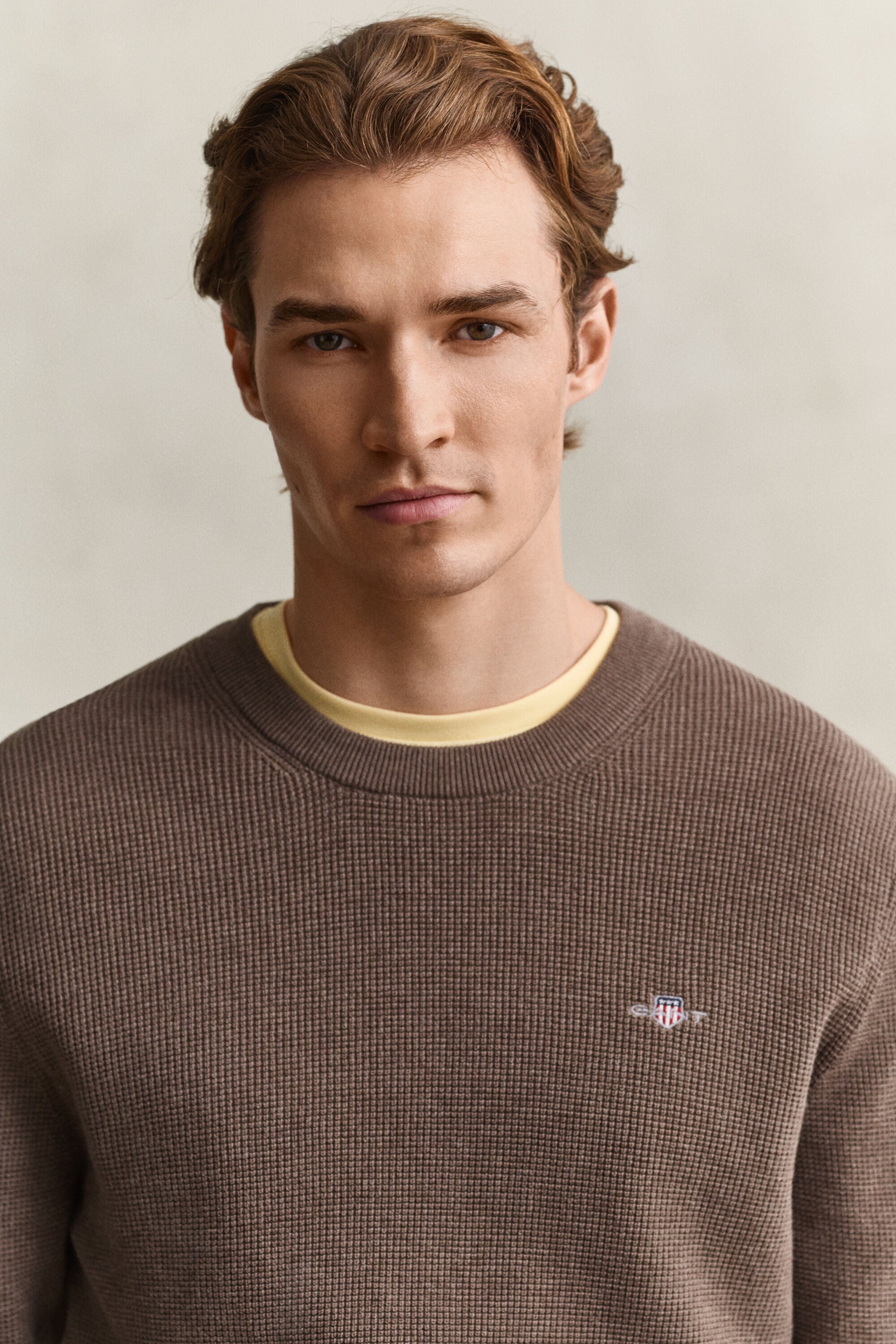 Textured Cotton Crew Neck Sweater