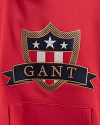 Teens Banner Shield Hoodie