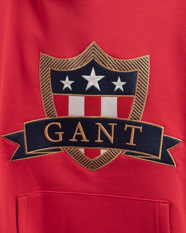 Teens Banner Shield Hoodie