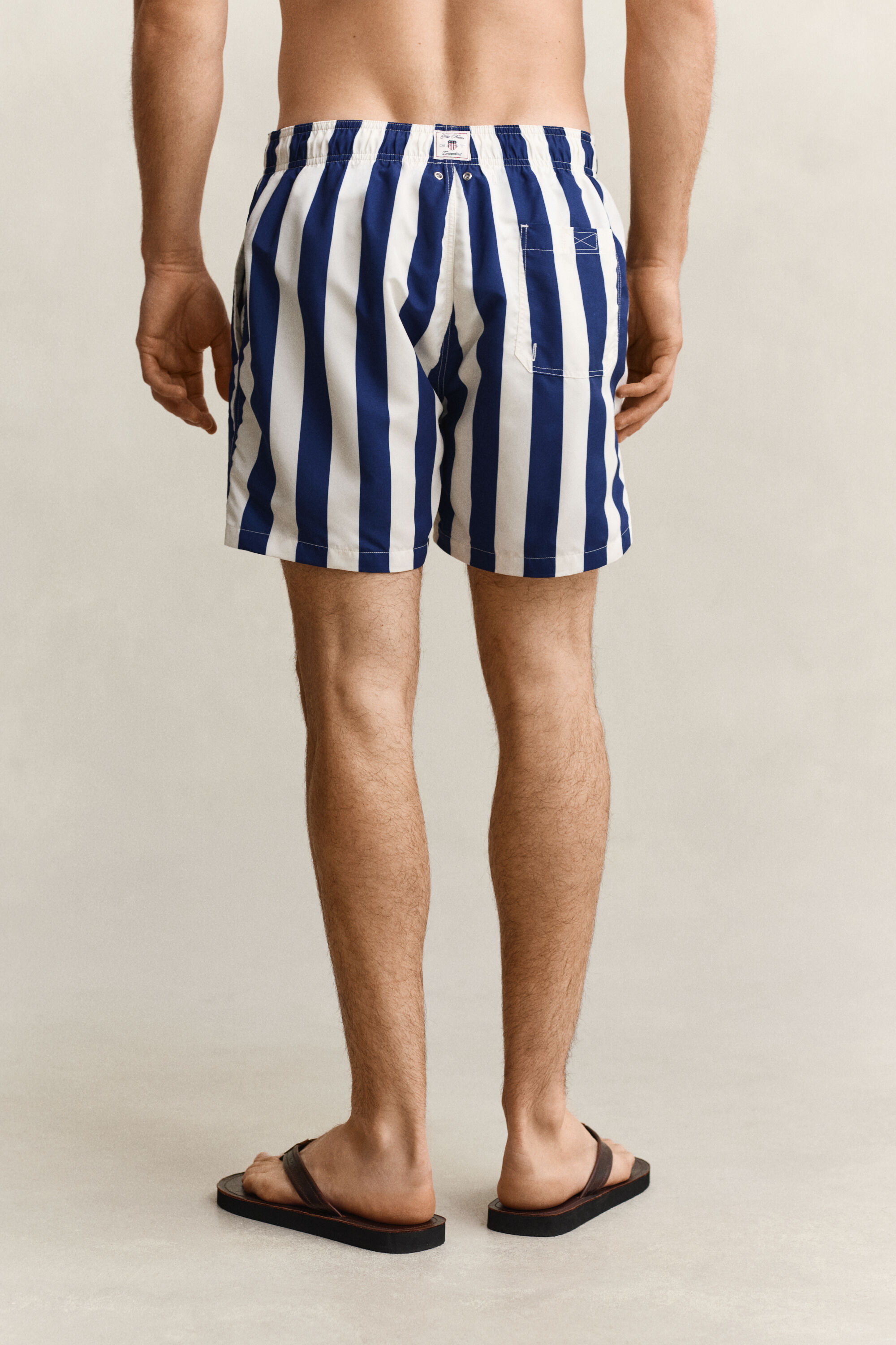Block Striped Swim Shorts