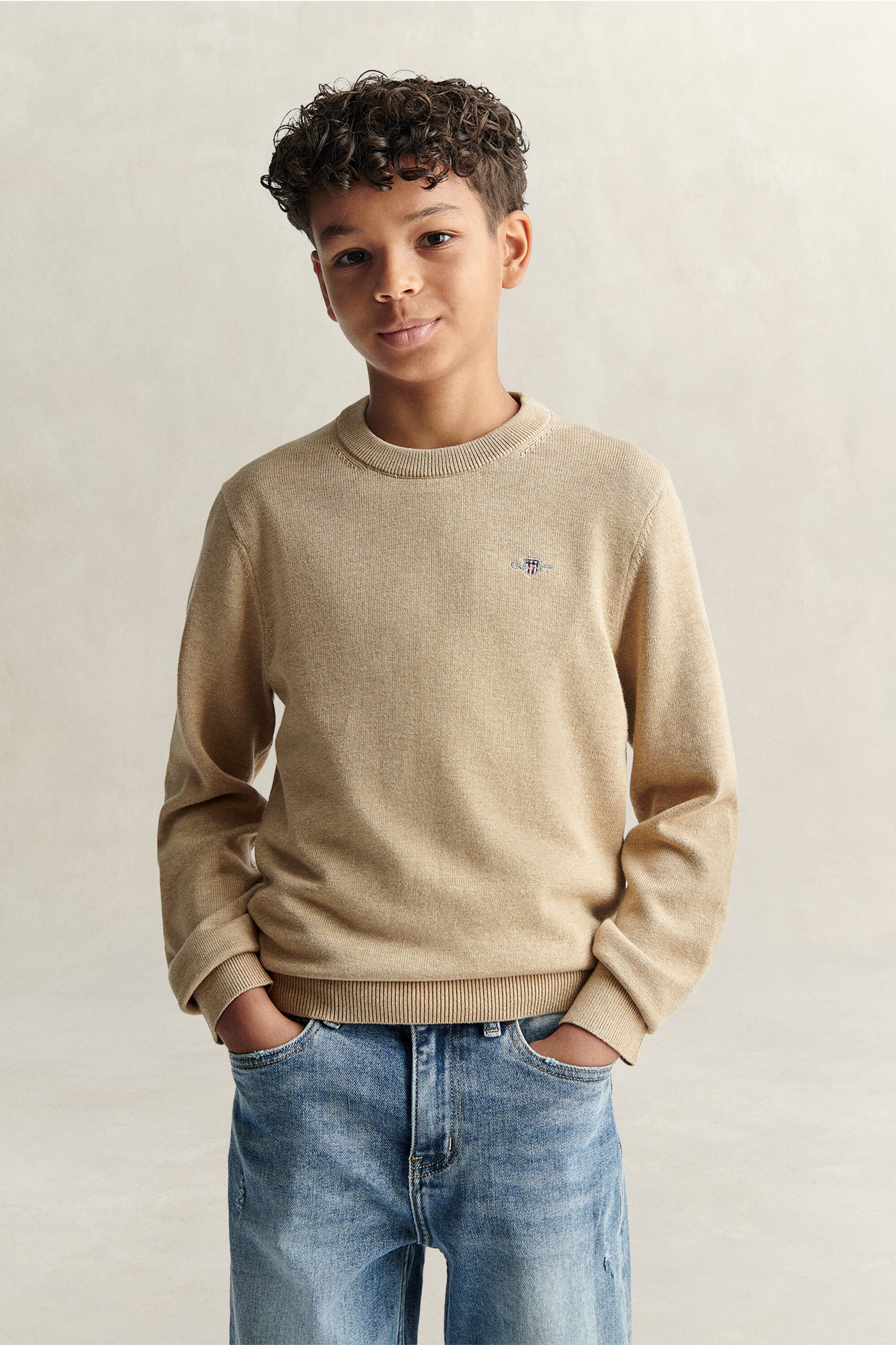 Teen Boys Shield Pullover