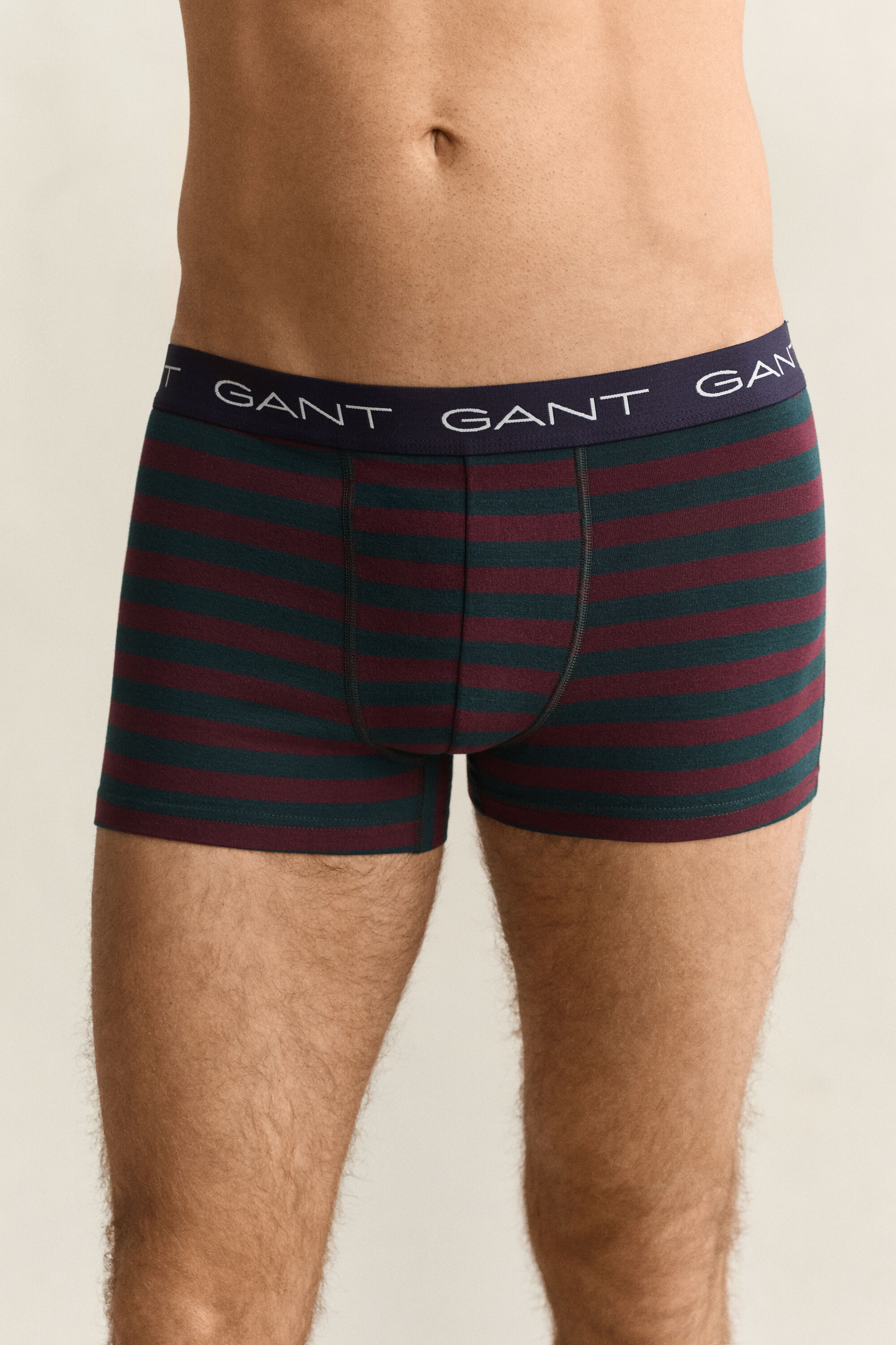 3-Pack Striped Trunks Gift Box