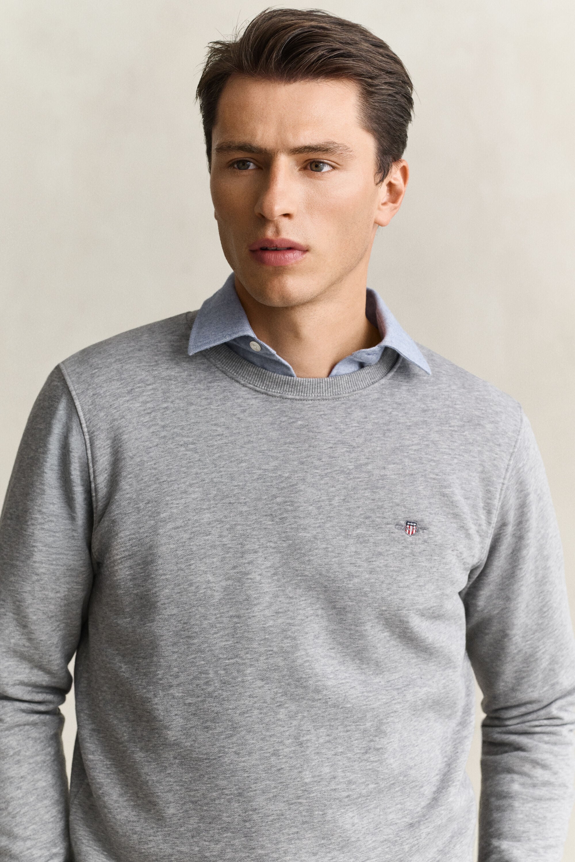 Sweat-shirt col rond avec écusson