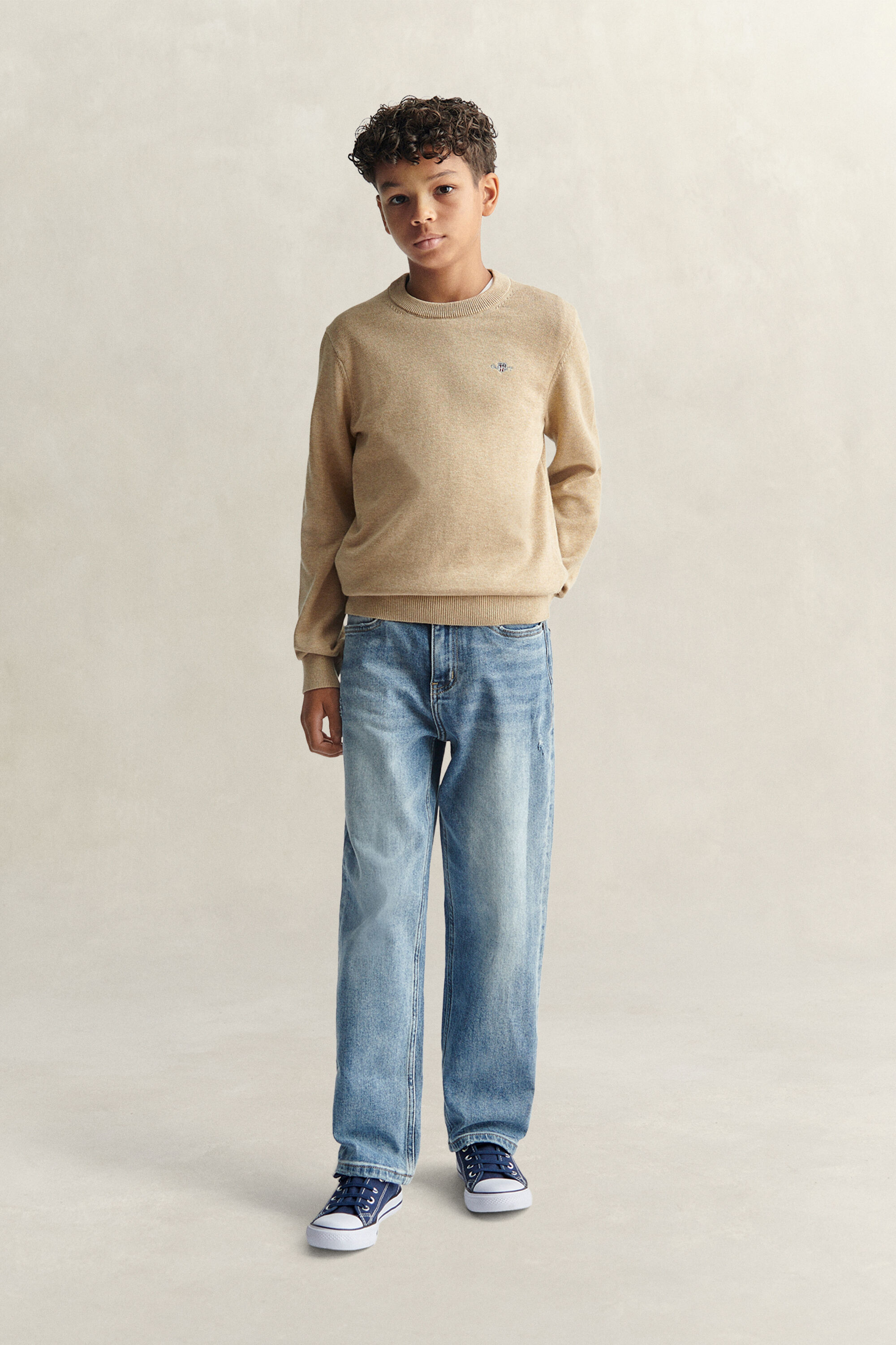 Teen Boys Shield Pullover