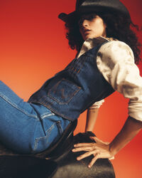 Wrangler x GANT Jeansweste